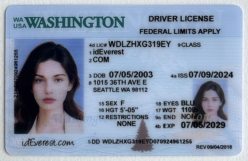 Washington Fake ID